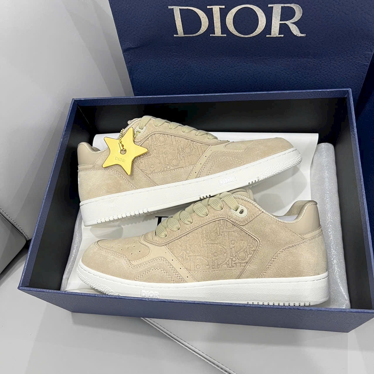 Giày Dior B27 Quality
