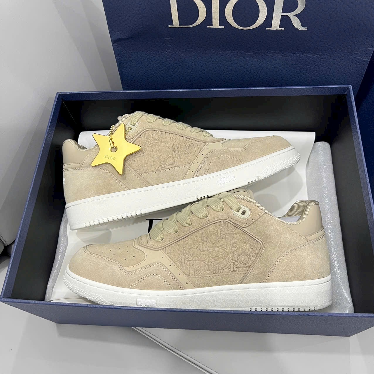 Giày Dior B27 Quality