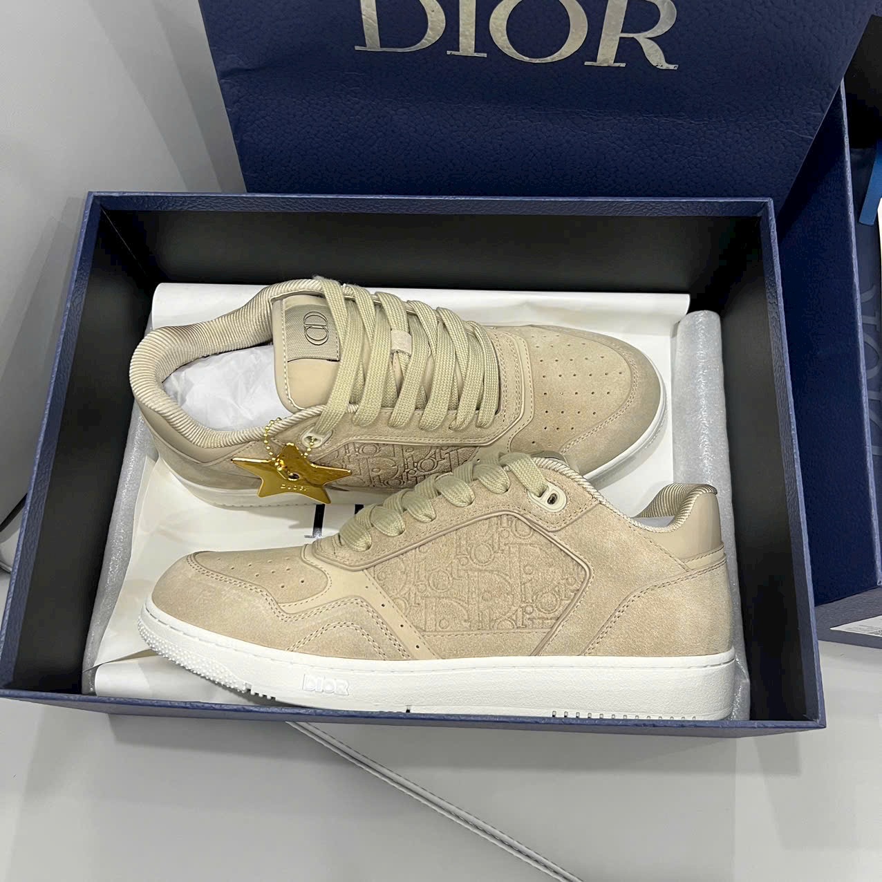 Giày Dior B27 Quality