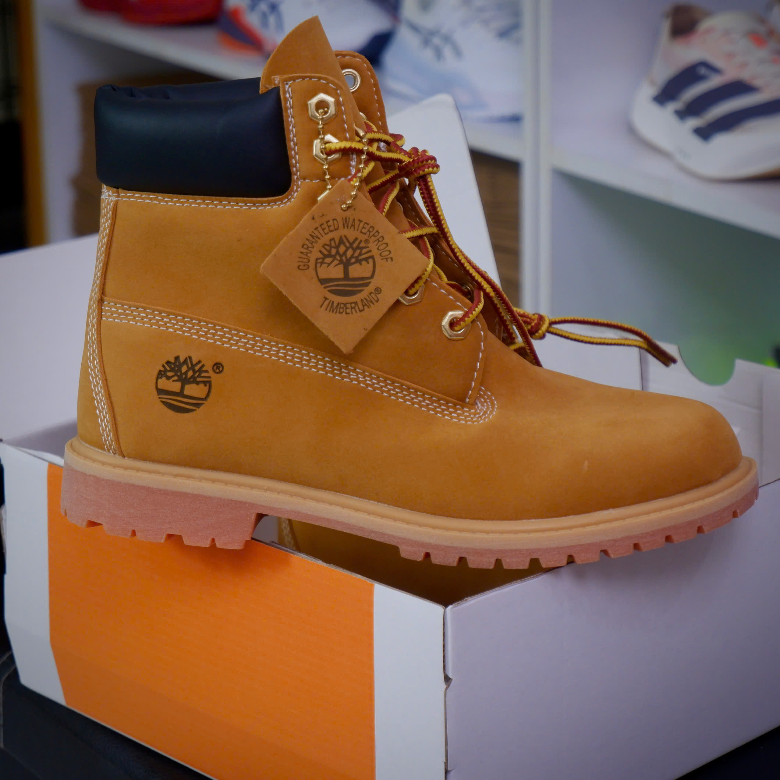 Giày Timberland Icon 6 Premium Boots